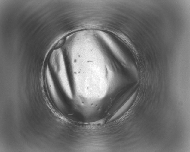 X0000058780904200510171250