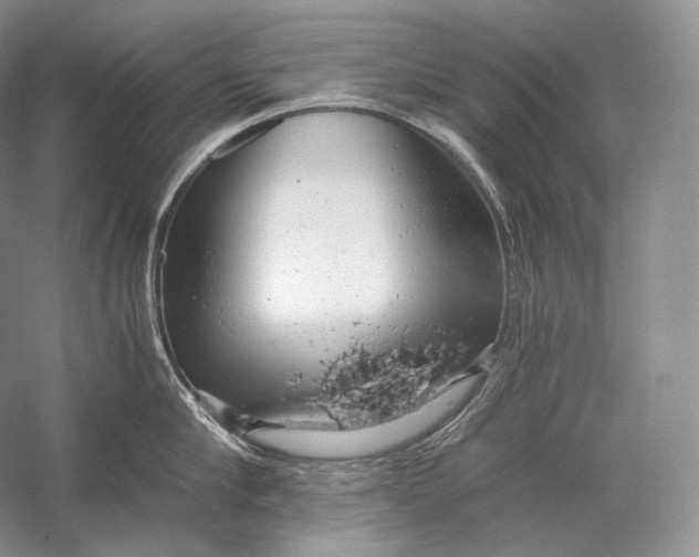 X0000058780910200510171250