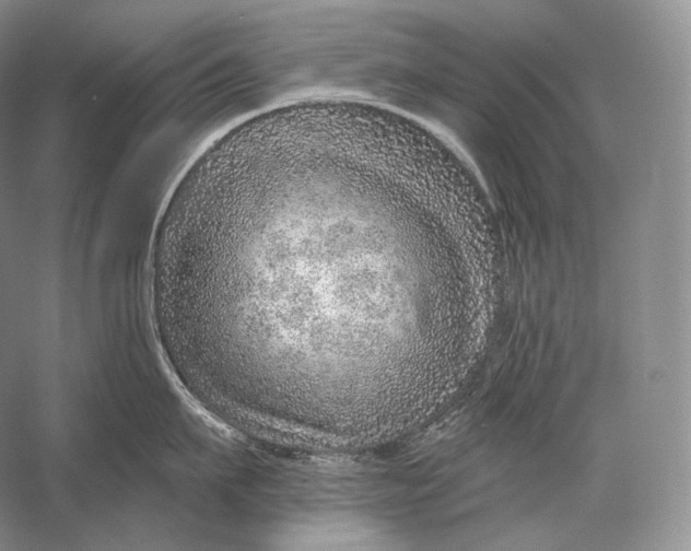 X0000058780911200510171250