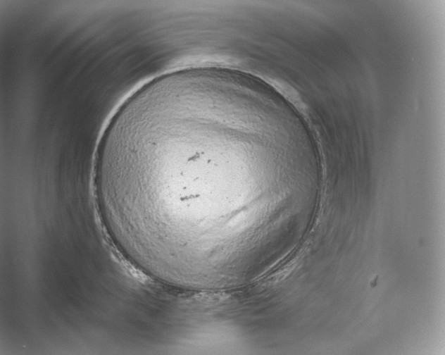 X0000058780912200510171250