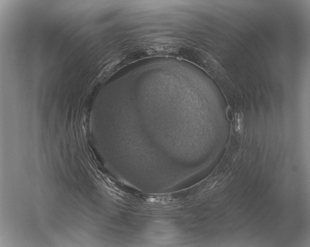 X0000058780915200510171249