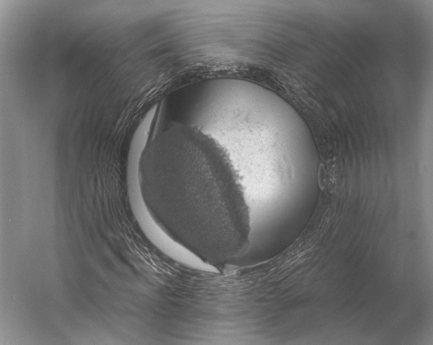 X0000058780916200510171249