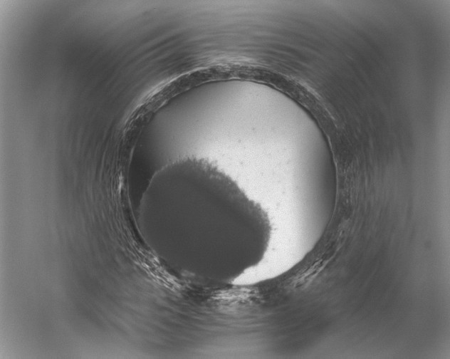 X0000058780919200510171249