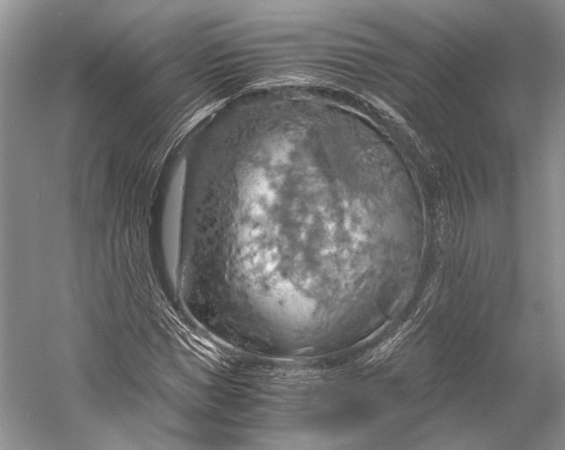 X0000058780921200510171249