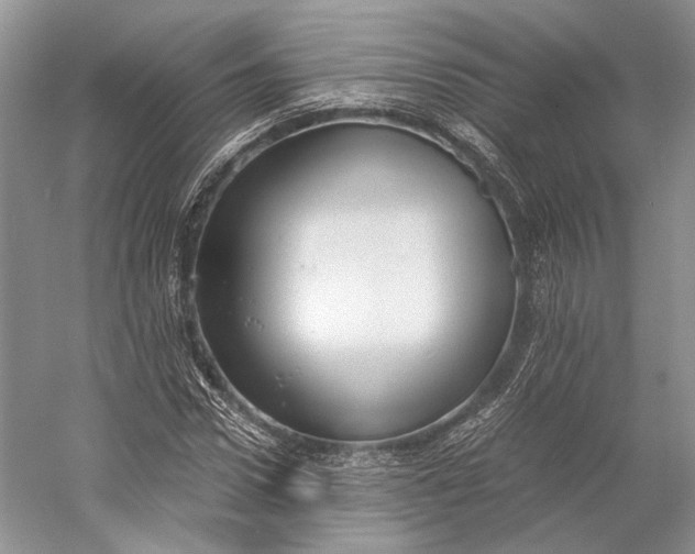 X0000058780922200510171249