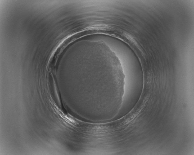 X0000058780923200510171249