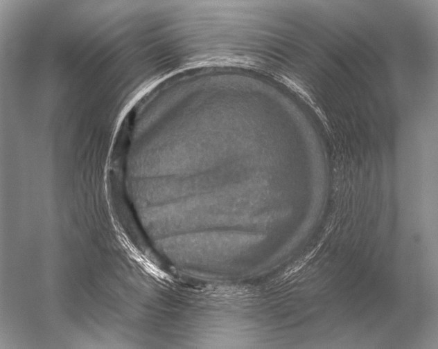 X0000058780928200510171249