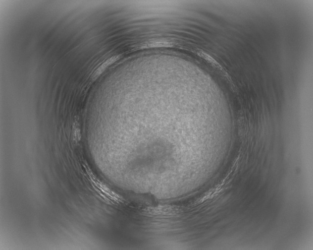 X0000058780929200510171249