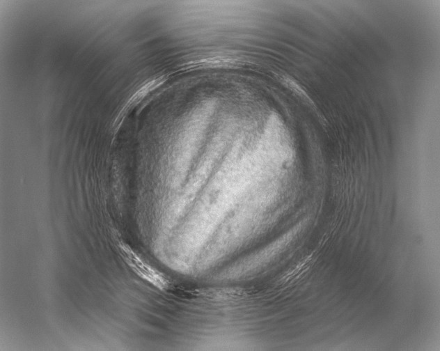 X0000058780930200510171249