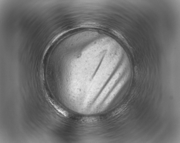 X0000058780931200510171249