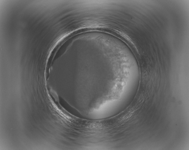 X0000058780935200510171249