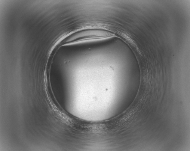 X0000058780936200510171249