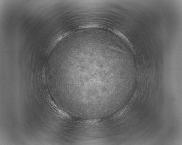 X0000058780937200510171249