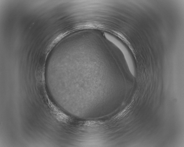 X0000058780938200510171249