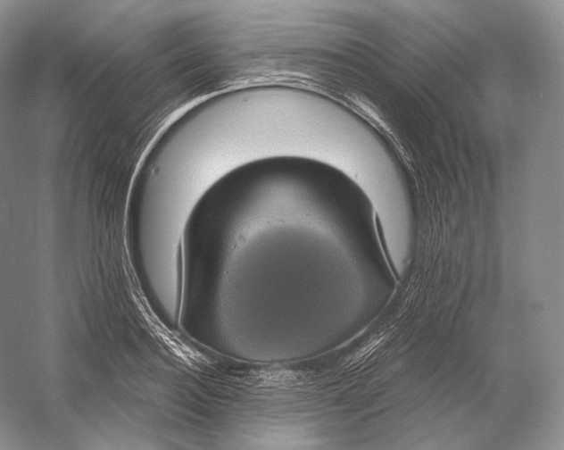 X0000058780940200510171249