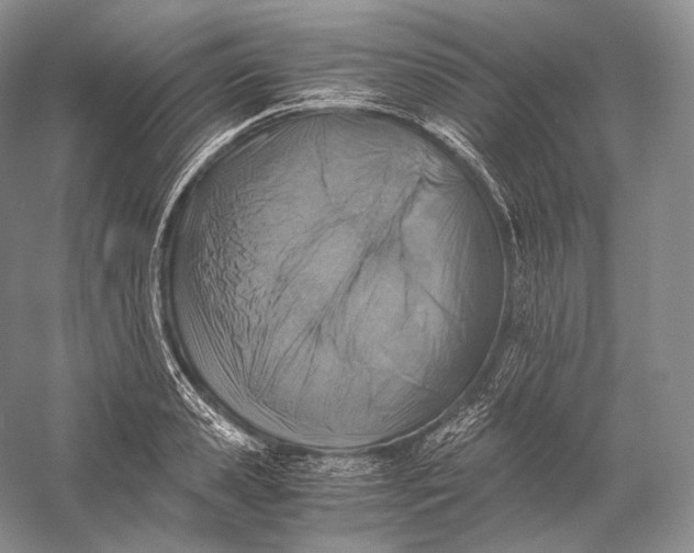 X0000058780941200510171249