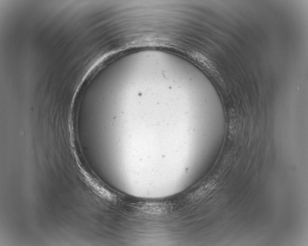 X0000058780942200510171249