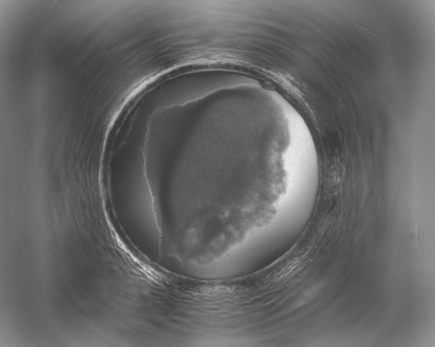 X0000058780943200510171249