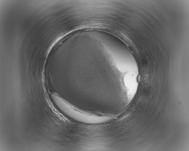 X0000058780944200510171249