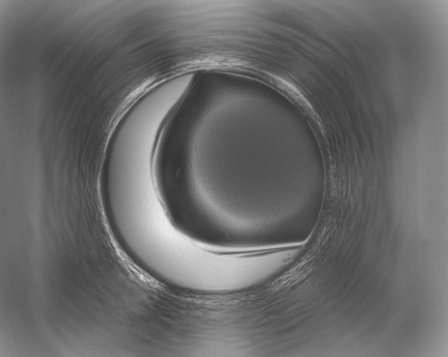 X0000058780946200510171249