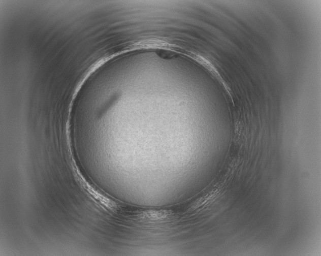 X0000058780947200510171249