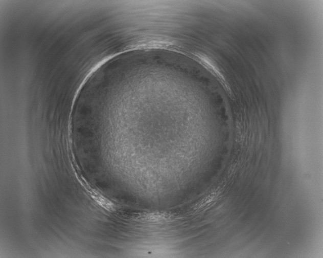 X0000058780948200510171249