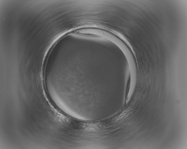 X0000058780951200510171249