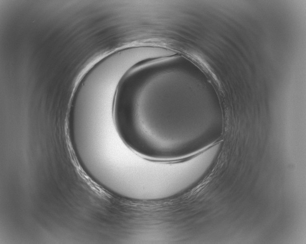 X0000058780952200510171249