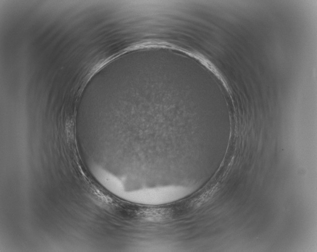 X0000058780953200510171250