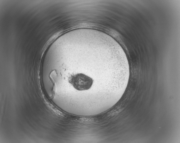 X0000058780954200510171250