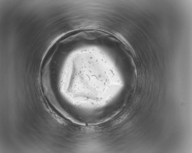 X0000058780956200510171250