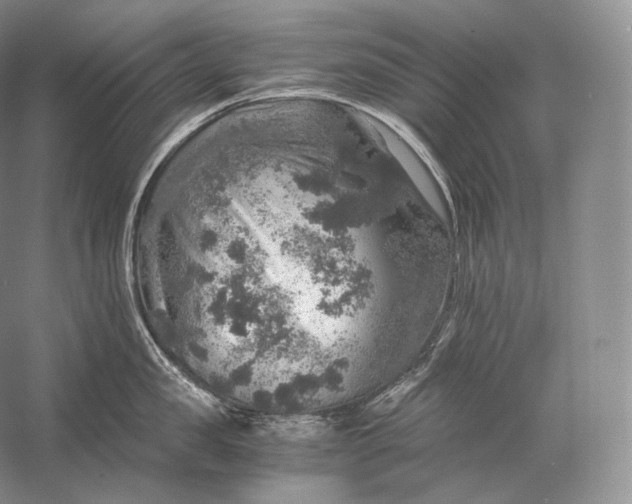 X0000058780957200510171250