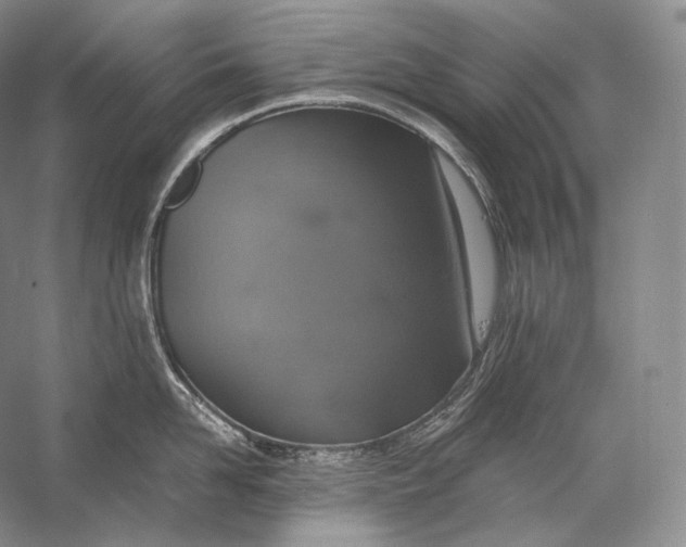 X0000058780958200510171250