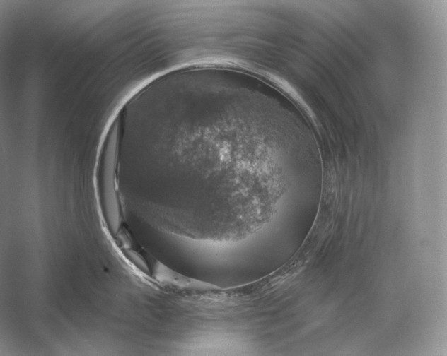 X0000058780959200510171250