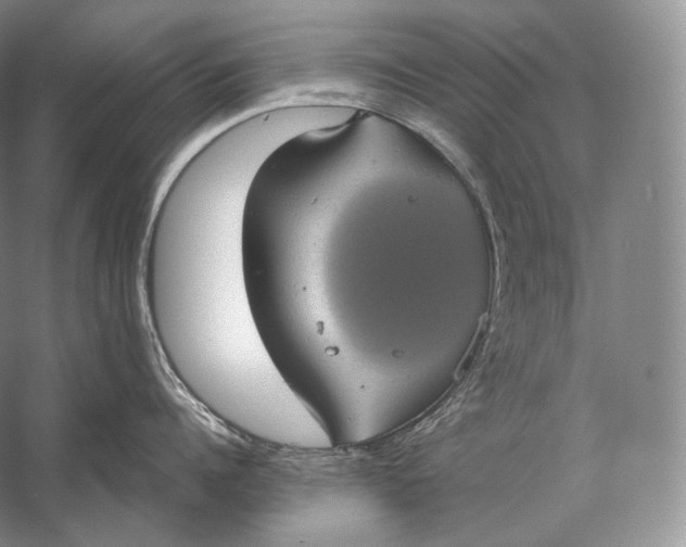 X0000058780960200510171250