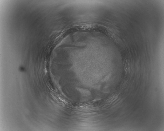 X0000058780962200510171249