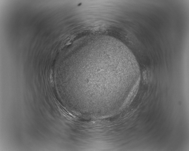 X0000058780963200510171249