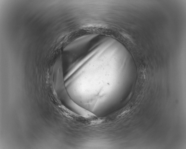 X0000058780965200510171249