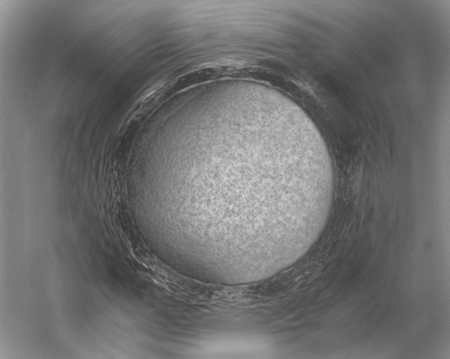 X0000058780967200510171249