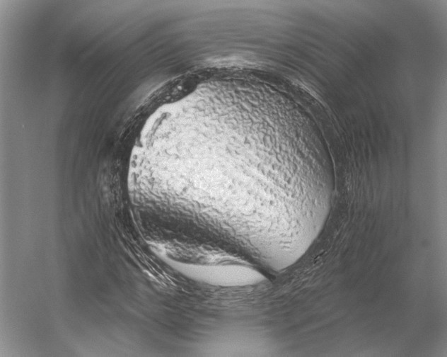 X0000058780968200510171249