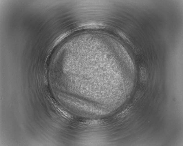 X0000058780970200510171249