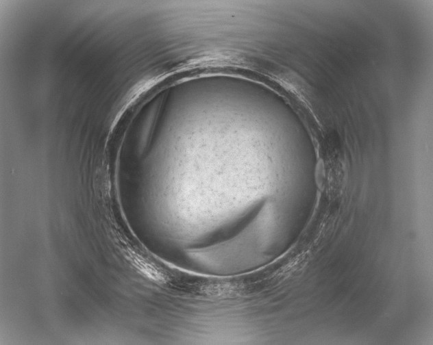 X0000058780973200510171249