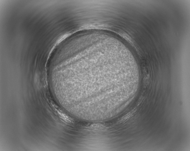 X0000058780974200510171249