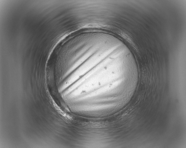 X0000058780976200510171249