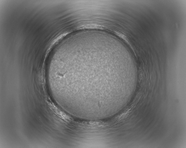 X0000058780979200510171248