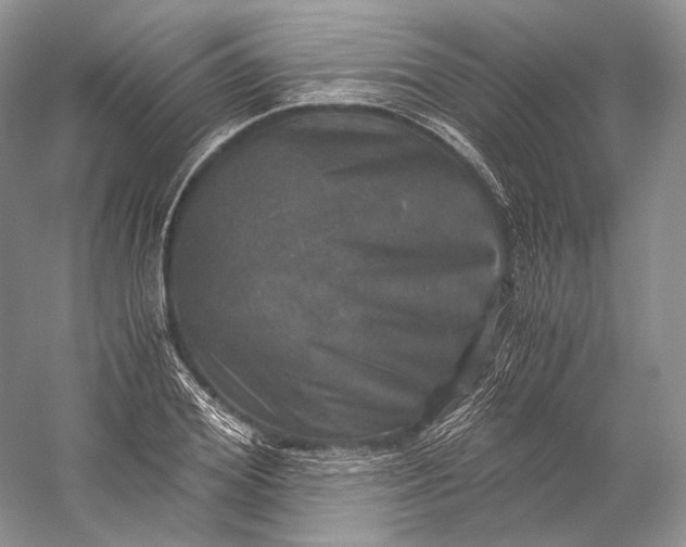 X0000058780980200510171248