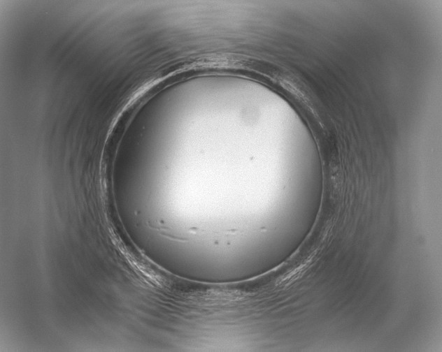 X0000058780981200510171248