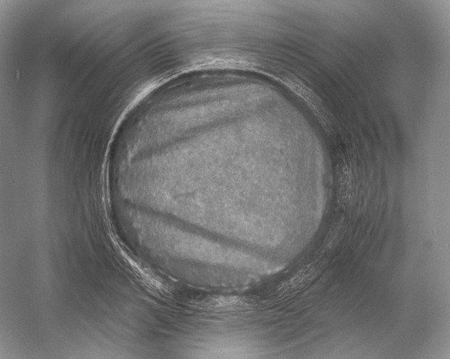 X0000058780982200510171248