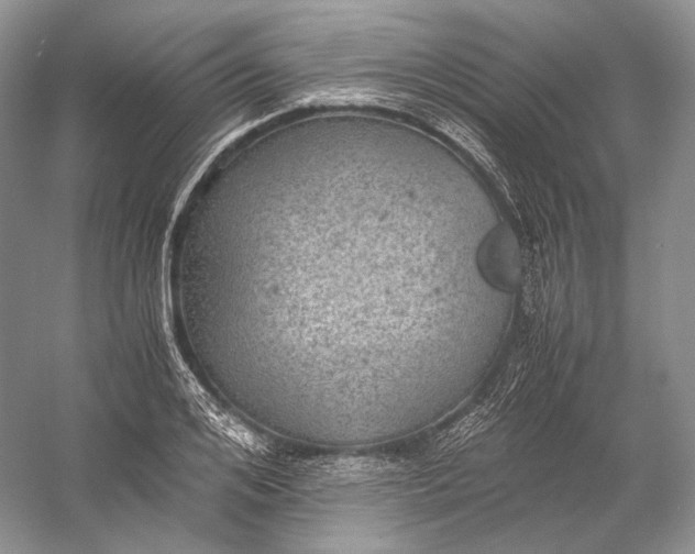 X0000058780984200510171248