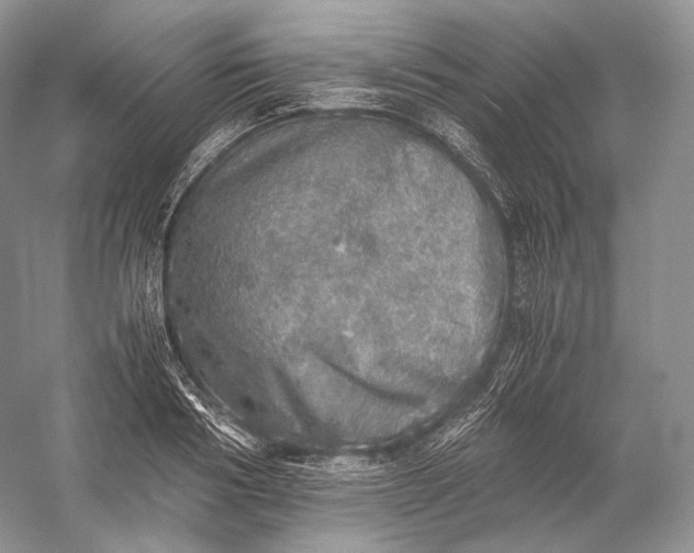 X0000058780986200510171248